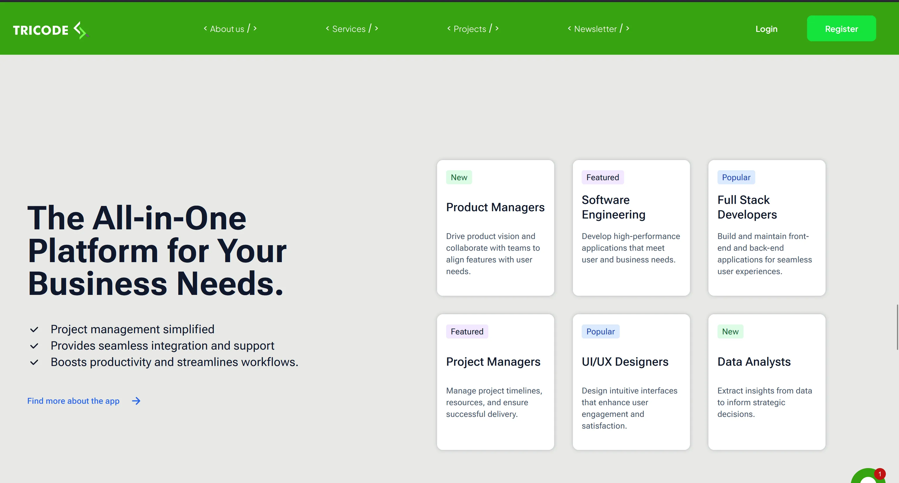 Lead Developer
