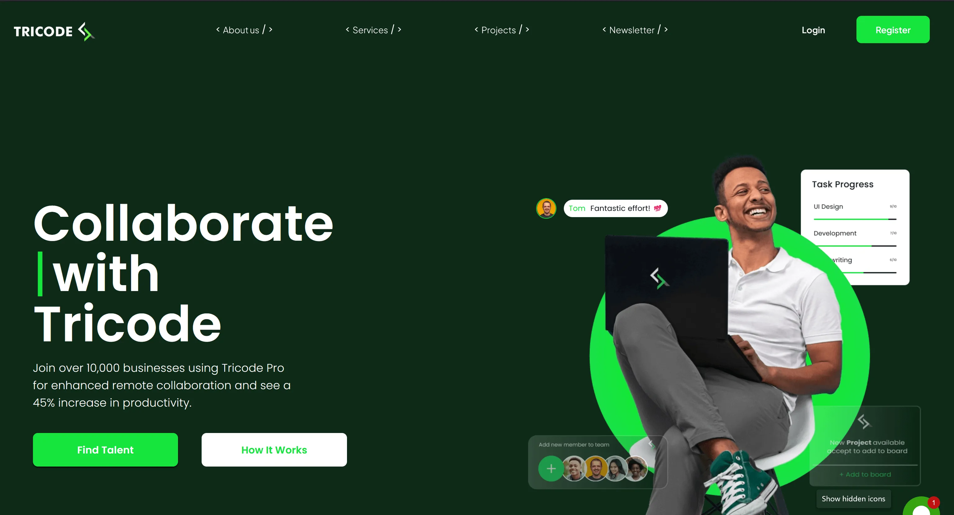 Lead Developer